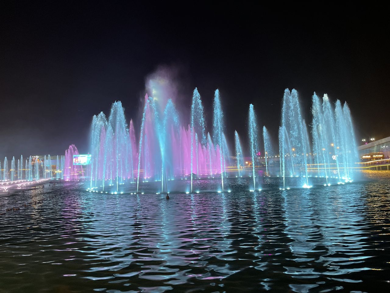 Enrichment Program 14 Days - Winter